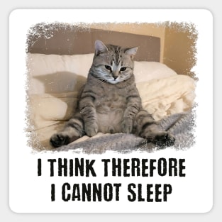 Funny Cat: I Think Therefore I Cannot Sleep Magnet